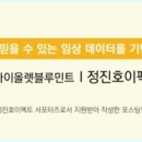 정진호이펙트