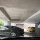 서리풀한의원 | 서초동 빌라 원룸 알아보기 | 월세 전세 실거주후기 정보 공유