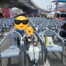 홍제제일약국 | 👉 서대문 홍제폭포 벚꽃 마지막날🔥 린·테이 보러 간 엄마아빠 찐후기 (아이랑 주말코스 완성)