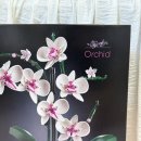 난초 - 금정구 | 레고 난초 오키드 후기 Lego Orchid 10311