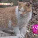 해로운 이미지