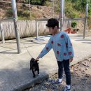 건영승마장 이미지