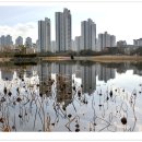 미추홀공원 이미지