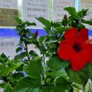 제유공인중개사사무소 이미지