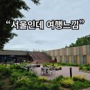 여의도 강변서재 후기｜처음 가면 헤매지만 한강뷰 만족도 높은 숨은 북카페