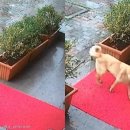 알파동물병원 이미지