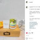 리시안꽃작업실