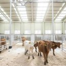 국립축산과학원 가축유전자원센터 이미지