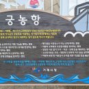 궁농오토캠핑장 이미지