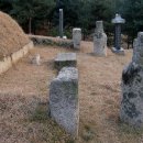 송산조견선생묘 이미지