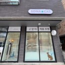 소나캣 이미지