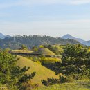 함안 말이산고분군 이미지