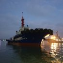 에코미르 이미지