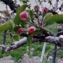 김종구농장 이미지