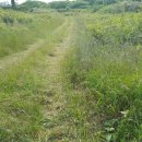 조천체육관 이미지