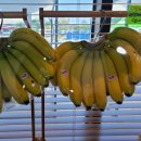 따봉청과 이미지