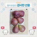 조이플란트 네이버블로그