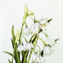 샛별미술교습소