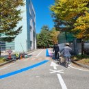 용인세무서 이미지