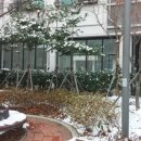 수원-0049 이미지