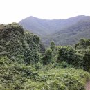 팔조령목장 이미지