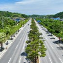 가로수길 - 김해시 칠산로335번길 2 | 가로수길