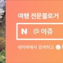 정다운출장세차