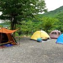 사과향기 이미지