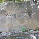엄목장 네이버블로그