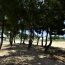 공현진1리해변 이미지