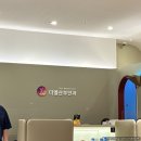 엘산부인과의원 | 판교역 산부인과 더엘산부인과 방문후기 | 여의사 산부인과, 여성 정기 검진, 월경불순, 질염 등 부인과...