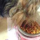 이가소프트 이미지