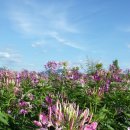 북한강 자전거도로7 이미지