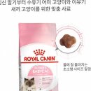 펫웨이브 동물의료센터 이미지
