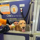 올리스24 두류공원점 이미지