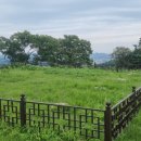 성고개로 이미지