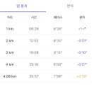 오르다모터스