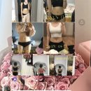 관양동-1 이미지