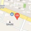 새한빛정형외과의원 티스토리