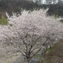 지경수가든 이미지