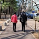 옛날손짜장 이미지