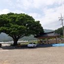 신근마을 이미지