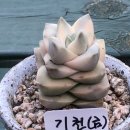 아랫기천 네이버블로그