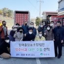 주산지애플 이미지