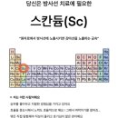 짱놀이터 이미지