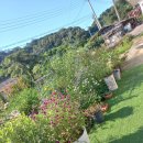 비젼하우스 이미지