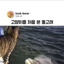 올해 제일 큰 숙제 끝냈어요 (안과검진) 이미지