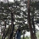 마린한증사우나 이미지