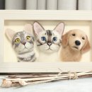 메이크펫 이미지