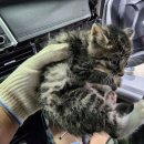 카맨샵 영등점 이미지